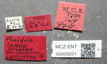 Media type: image;   Entomology 9201 Aspect: labels